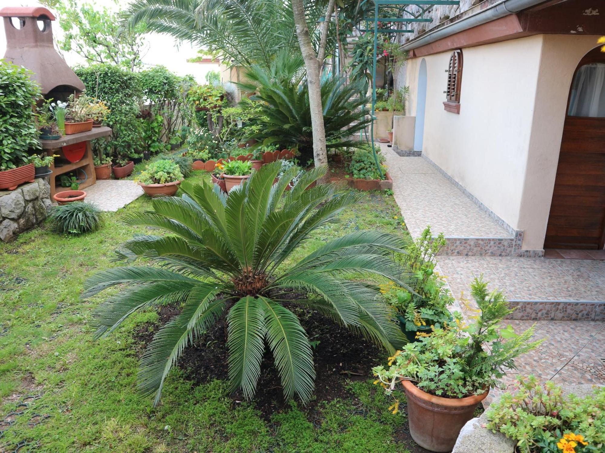 Apartments Komel Opatija Eksteriør billede